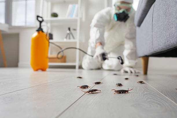 Post-Treatment Bed Bug Interceptor Monitoring in Frostproof