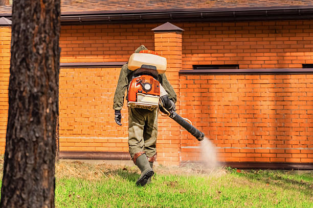Bed Bug Clearance Verification and Documentation in Frostproof